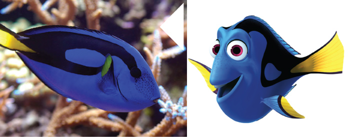 picture of the character bloat and the actual fish: porcupine puffer.