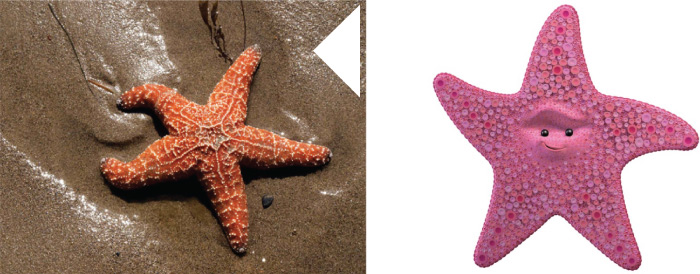 picture of the character peach and the actual fish: starfish or sea star.