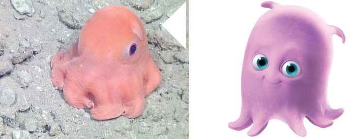 picture of the character pearl and the actual fish: pink flapjack octopus.