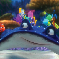 picture of the character mr. ray from finding nemo.